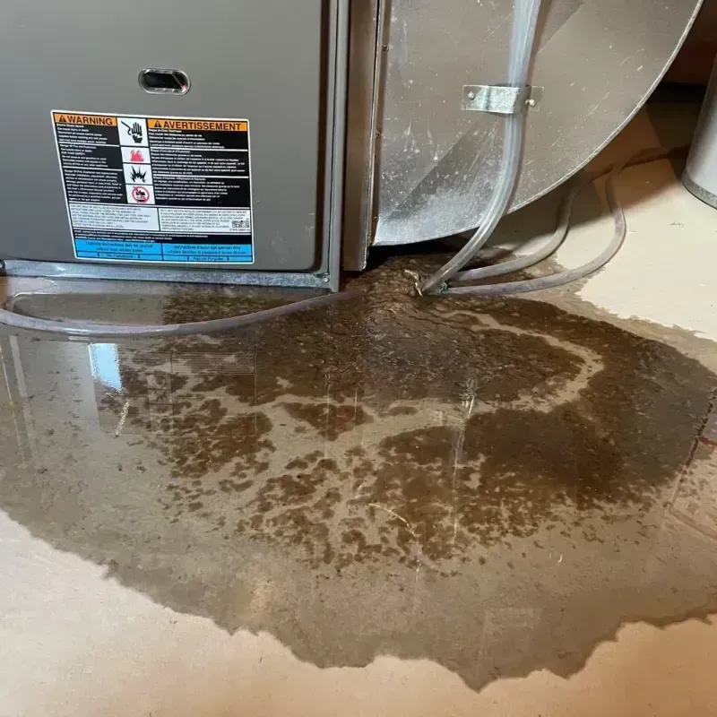 Appliance Leak Cleanup in Troy, NY